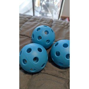Indoor Pickleballs- Indoor Court Pickleball Balls - 12 Pack